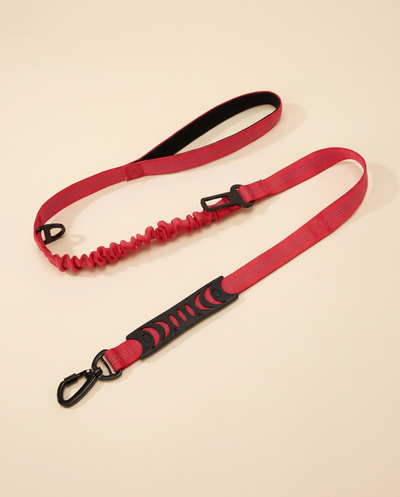 Form Elastic Lead