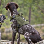 Form Harness — Pennine Sage