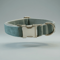 Form Collar — Sage