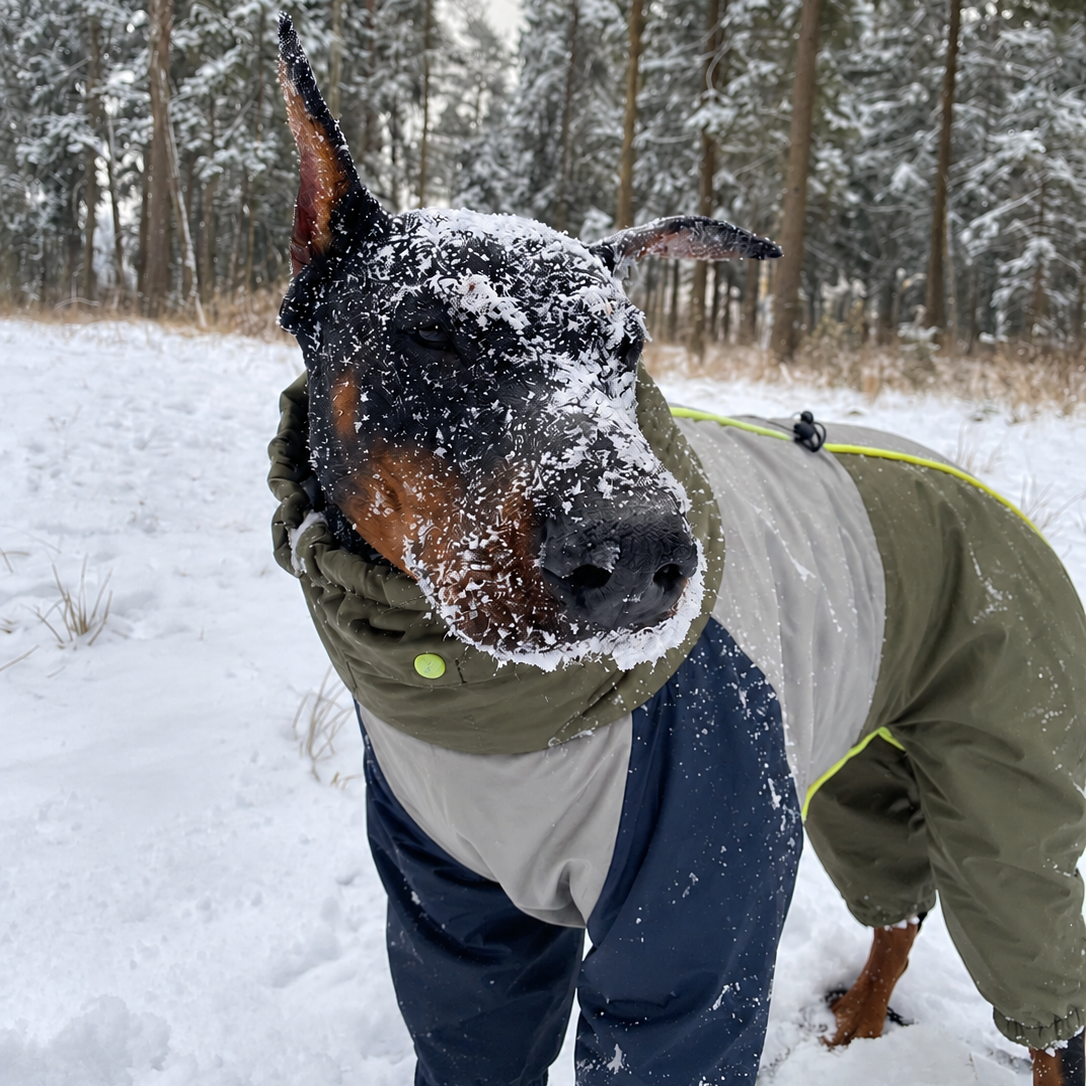 Form Snowline Suit, product photo