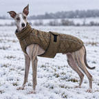 Form Winter Coat, product photo