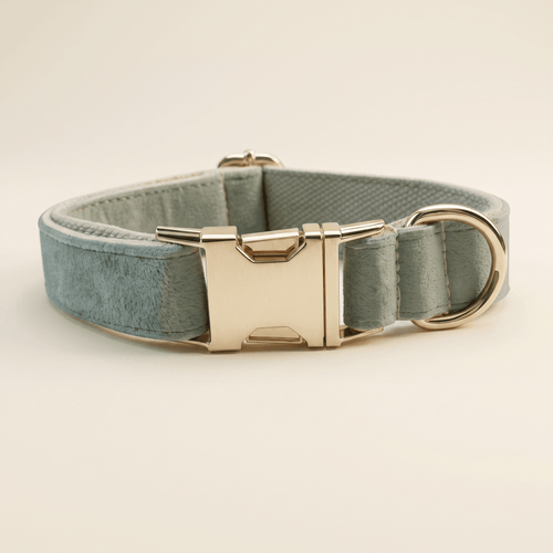 Form Collar — Sage, premium studio shot