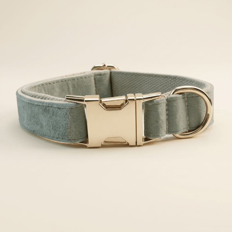 Form Collar — Sage, premium studio shot