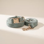 Form Collar & Lead Set — Sage, premium studio shot