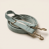 Form Lead — Sage, premium studio shot