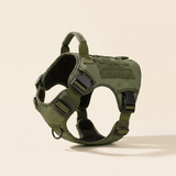 Form Harness — Sage, premium studio shot