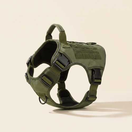 Form Harness — Sage, premium studio shot