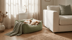 Rest Den — Sage in a living room