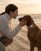 Form Collar — Sage at the beach
