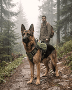 Form Harness — Sage on a forest trail