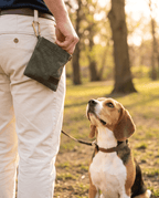 Form Treat Pouch — Sage in use on a walk