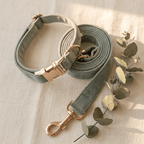 Form Collar & Lead Set — flat lay