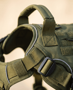 Form Harness — reflective piping and buckle detail