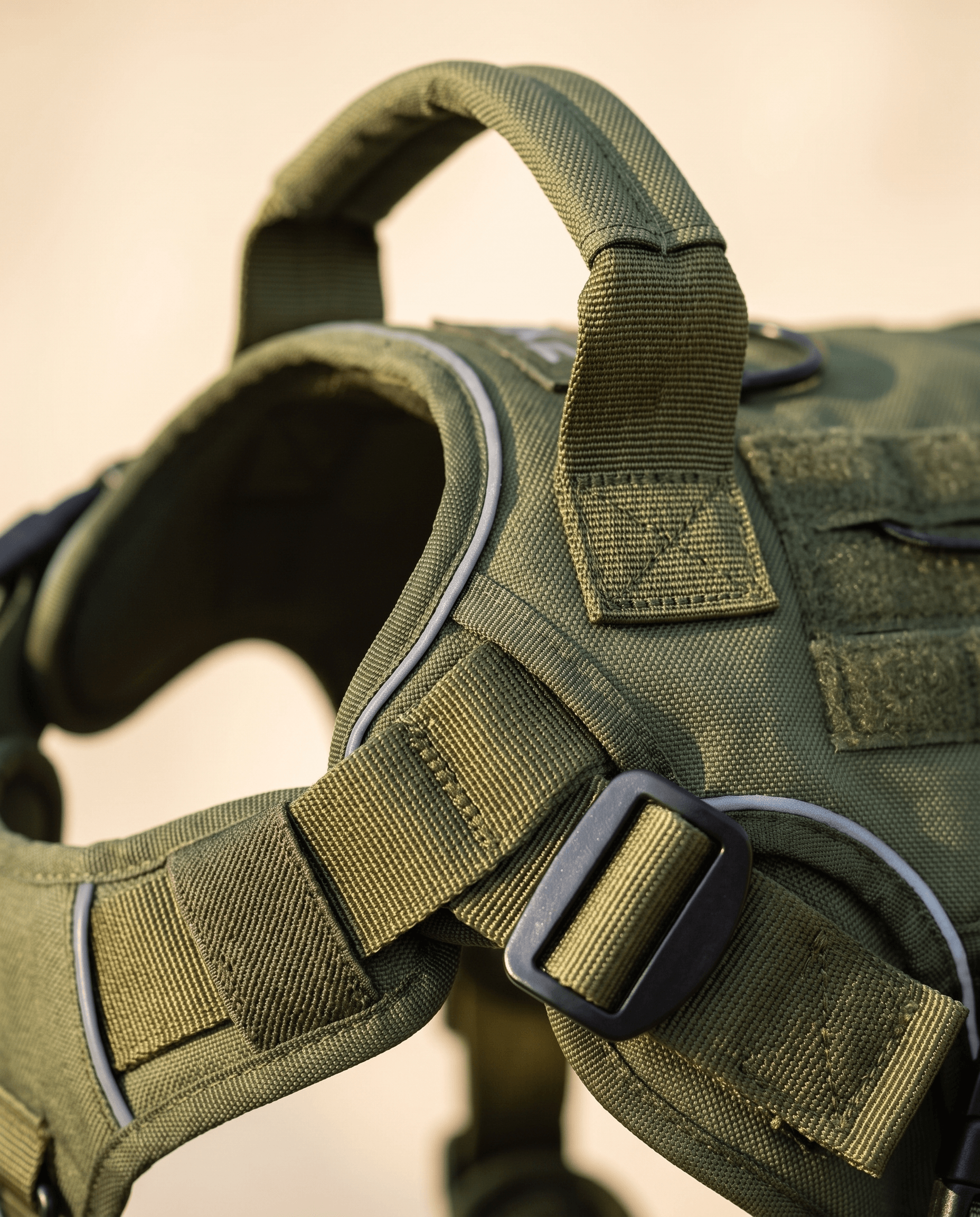 Form Harness — reflective piping and buckle detail