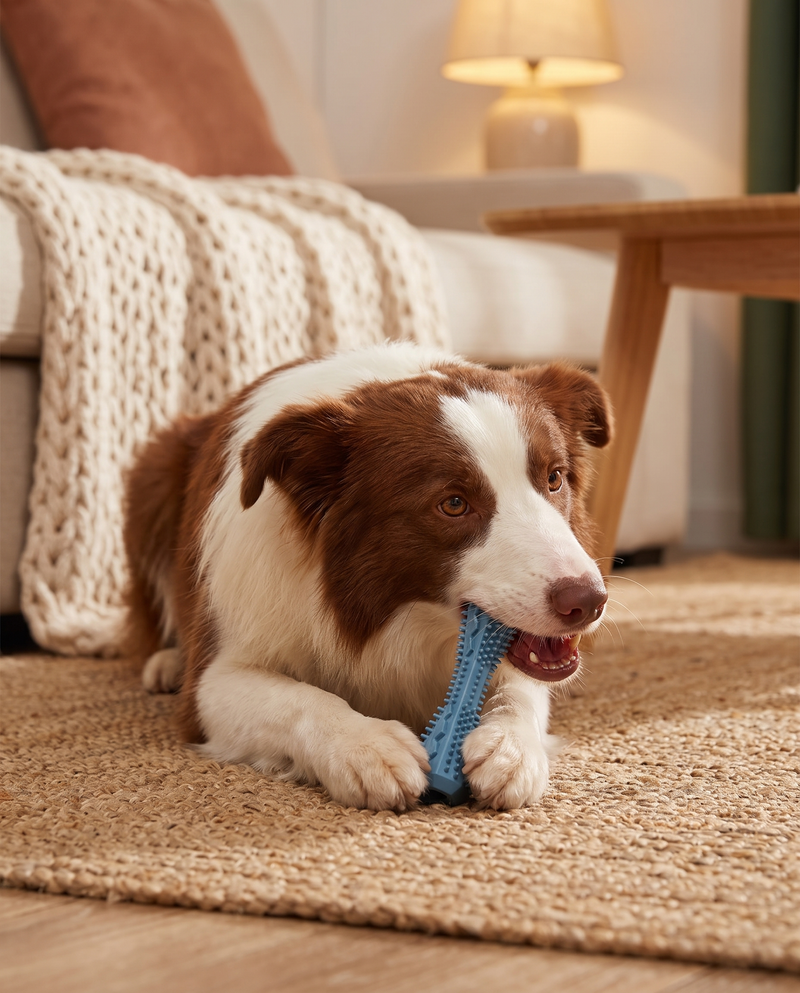 Dog chewing the Form Dental Chew on a rug