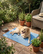 Dog lying on the Form Cooling Mat in a shaded garden