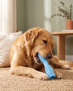 Form Dental Chew in Blue