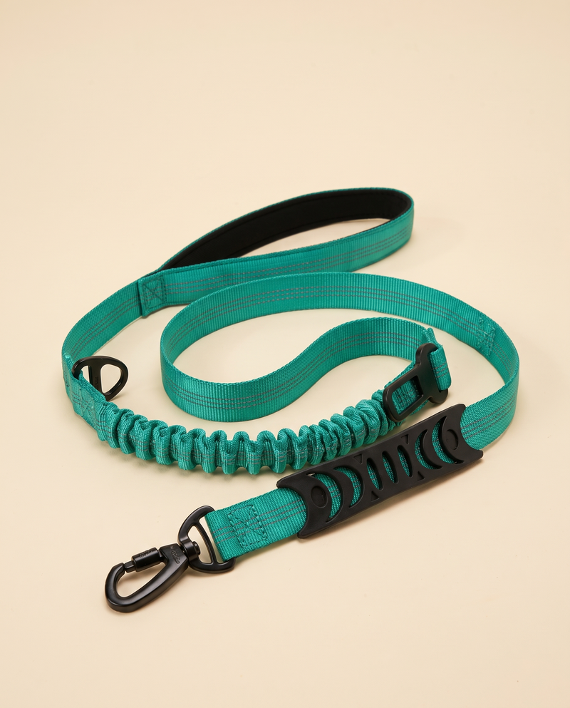 Form Elastic Lead in Forest Green