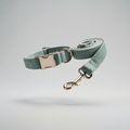 Form Collar & Lead Set — Sage